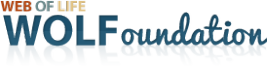 wolf-foundation-logo